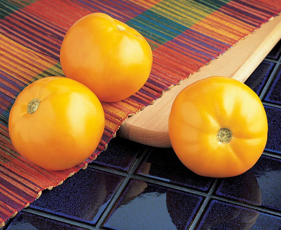 Tomatoes Carolina Gold Hybrid