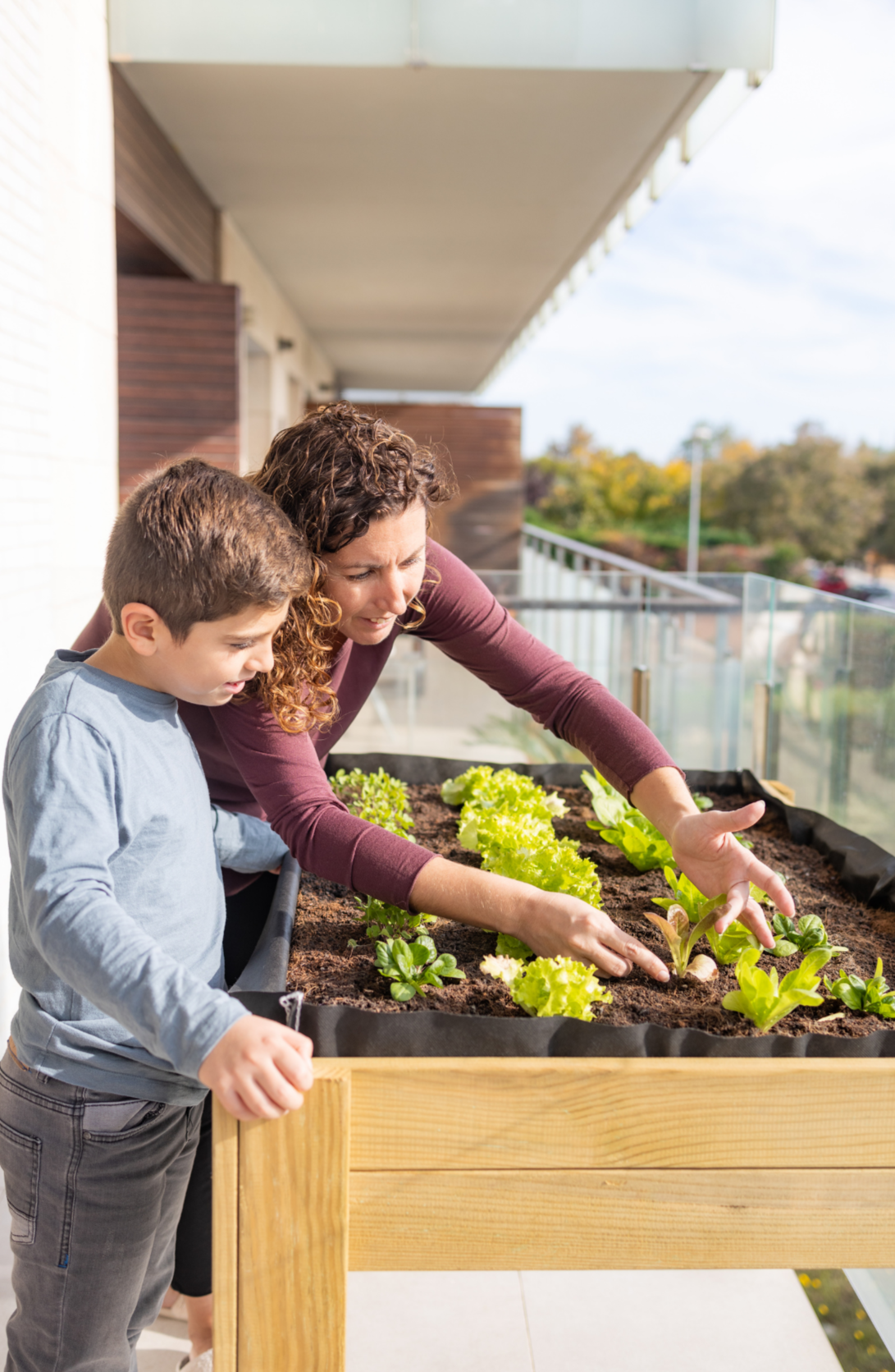 LIFE LESSONS FROM THE GARDEN