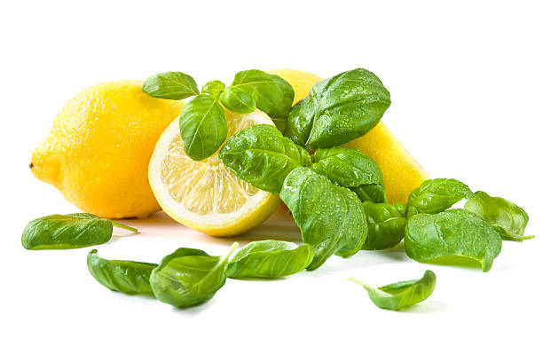 Lemon Basil
