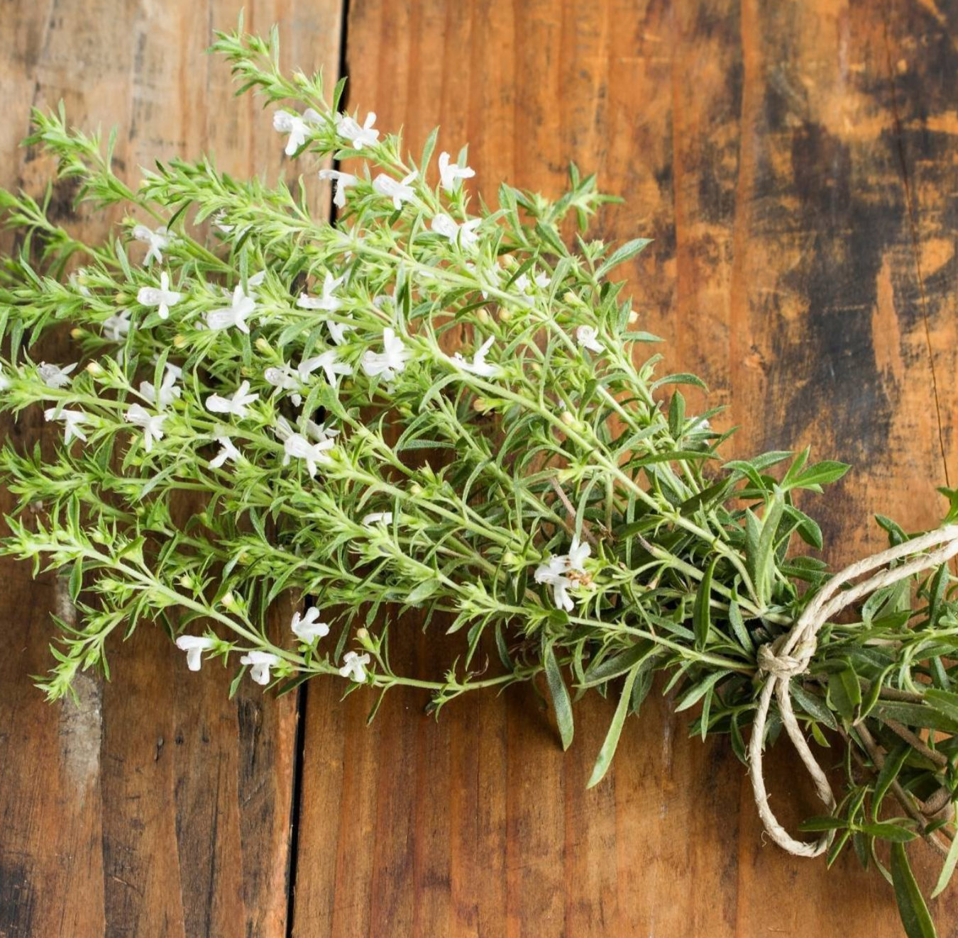 Savory Seed Pods