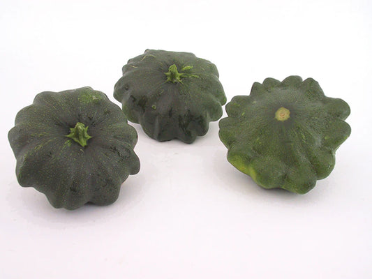 Summer Squash G-Star Hybrid