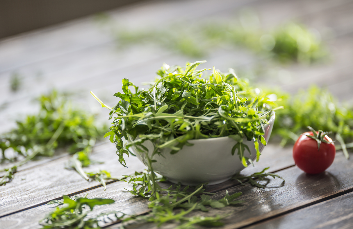 Quick Growing Arugula