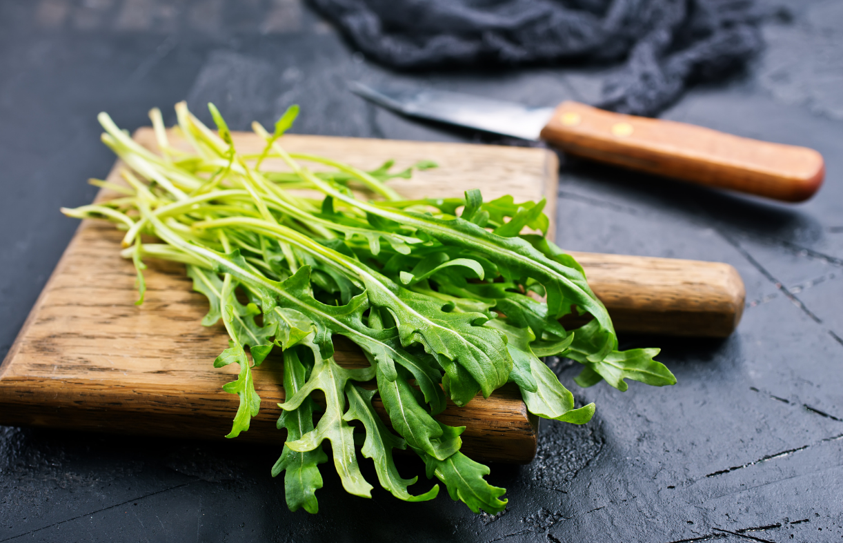 Quick Growing Arugula