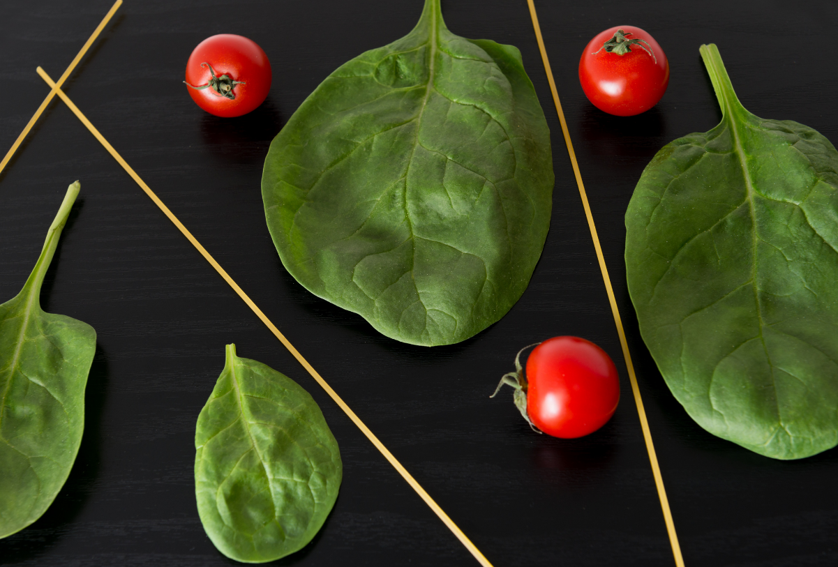 Quick Growing Spinach